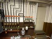 IMG_8762.JPEG - 
