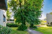 Gepflegte Außenanlagen - 