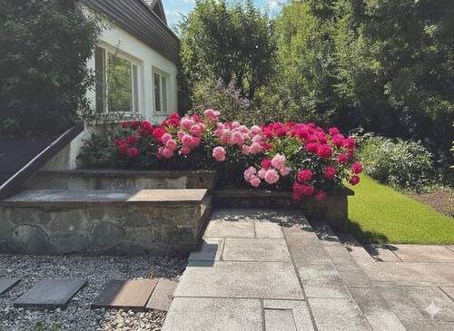 Garten - 