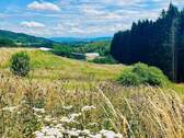 Blick auf Reitanlage - Einfamilienhaus zum Kaufen in Wehr