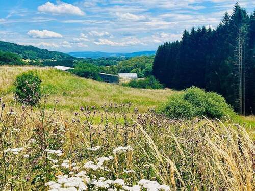 Blick auf Reitanlage - Einfamilienhaus zum Kaufen in Wehr