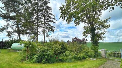 Weitblick in die Natur - 