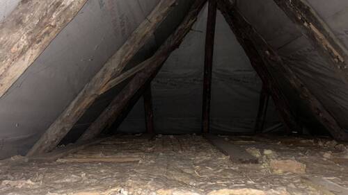 Spitzboden - 