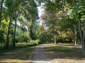 Stadtpark - 