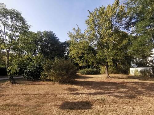Stadtpark - 
