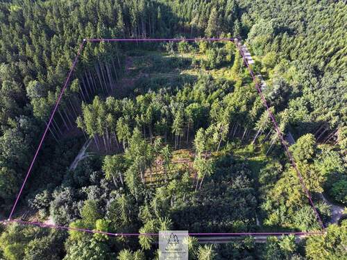 waldverkauf-ingolstadt_06.jpg - 