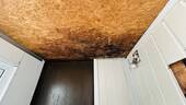 Feuchtigkeit - 