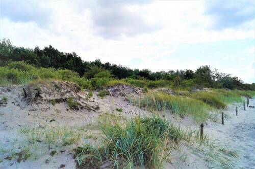 Dünenlandschaft am Naturstrand - 