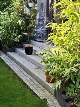 Terrasse - 