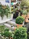 Terrasse - 