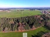 Waldverkauf-ostallgaeu.jpg - Schöner FICHTENALTBESTAND in ruhiger Lage des Ostallgäus