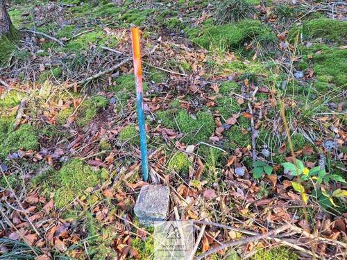 Waldverkauf-ostallgaeu_25.jpg - 