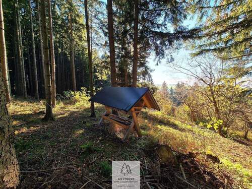 Waldverkauf-ostallgaeu_06.jpg - 