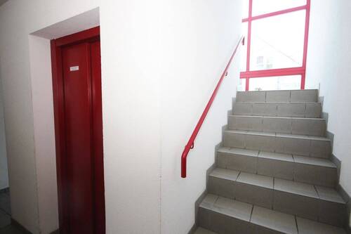 Gepflegtes Treppenhaus - 