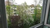 Aussicht Fenster/Wohnbereich - 