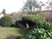 Bild 7 - 