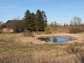 Grundstück mit Naturteich - 