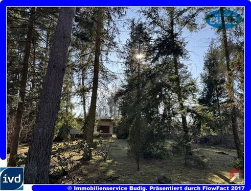 Blick von der Straße auf das Grundstück - Baugrundstück mit Südausrichtung - mit kleinem Sommerhaus bebaut