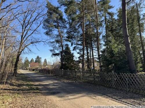 Wohngebietsstraße - rechts befindet sich das Grundstück - Grundstück zum Kaufen in Grünheide
