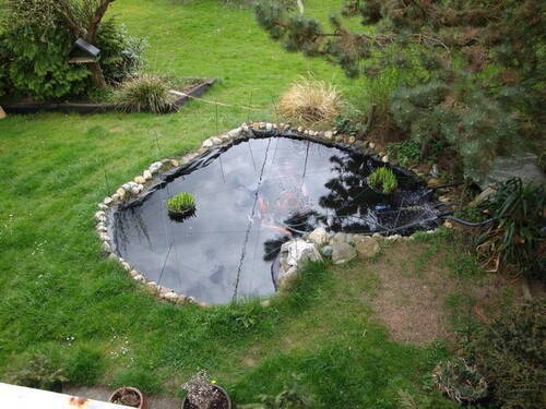 Ausblick vom Balkon - 