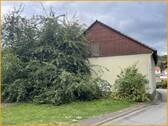 Hinteransicht - 