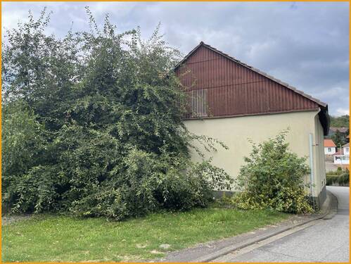 Hinteransicht - 