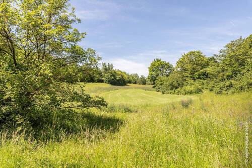 Weitere Parkaufnahme - 