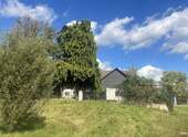 umgebende Grünflächen - 8 Zimmer Mehrfamilienhaus, Wohnhaus in Trier