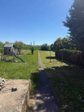 IMG_0806.jpeg - 
