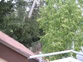Aussicht vom Balkon - 