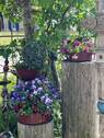 Bild 18 - 
