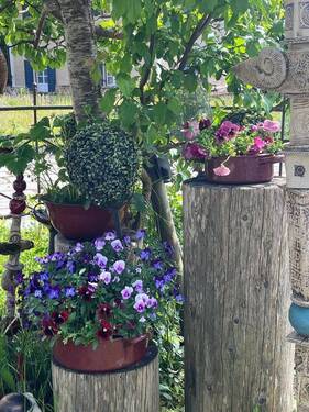 Bild 18 - 