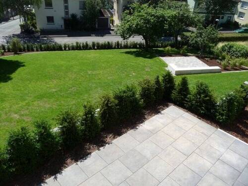 Blick in den Garten - 