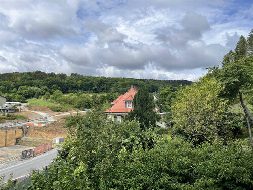 Bild7 - 