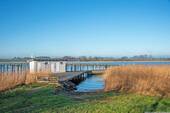 Schlei - 