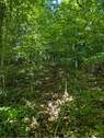 Ansicht - 