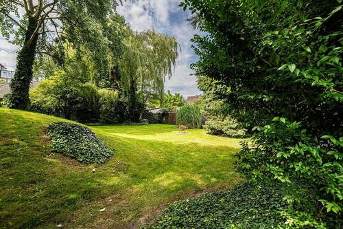 Gemeinschaftsgarten - 