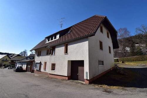 Hinteransicht - 9 Zimmer Mehrfamilienhaus, Wohnhaus in Todtmoos