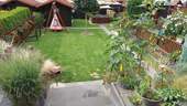 Blick von Terasse in Garten - 
