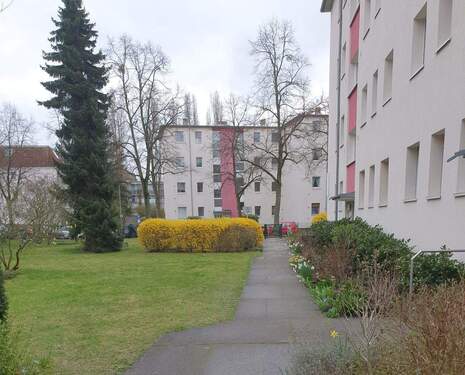 PHOTO-2024-03-21-15-20-25.jpg - 