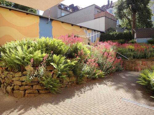 Gemeinschaftsgarten - 