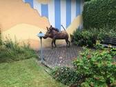 Gartenkunst - 