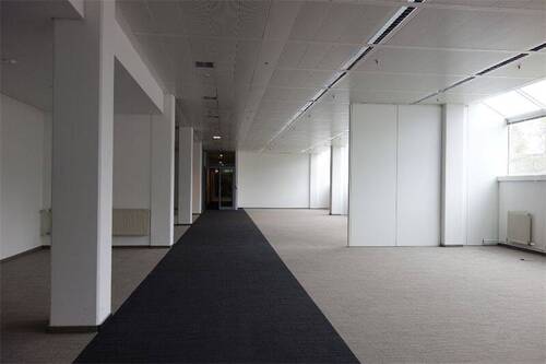 Büro Archiv1 - 