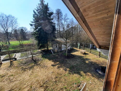 Blick nach hinten - 