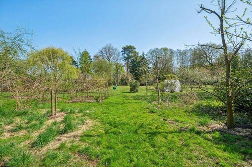 Blick aufs Grundstück Ansicht II - 