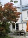 Terrasse - 