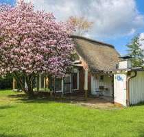 Reetdach-Ensemble - Zwei Wohnhäuser sowie Baugrundstück mit positivem Bauvorbescheid - Drochtersen/Dornbusch