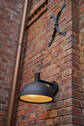 Bild 12 - 