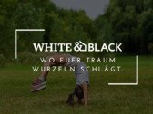 Traum vom Eigenheim - 3 Zimmer Doppelhaushälfte zum Kaufen in Elsdorf