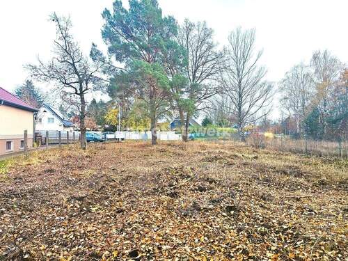 Grundstücksansicht zur Straße - Grundstück in Oranienburg / Oranienburg Süd